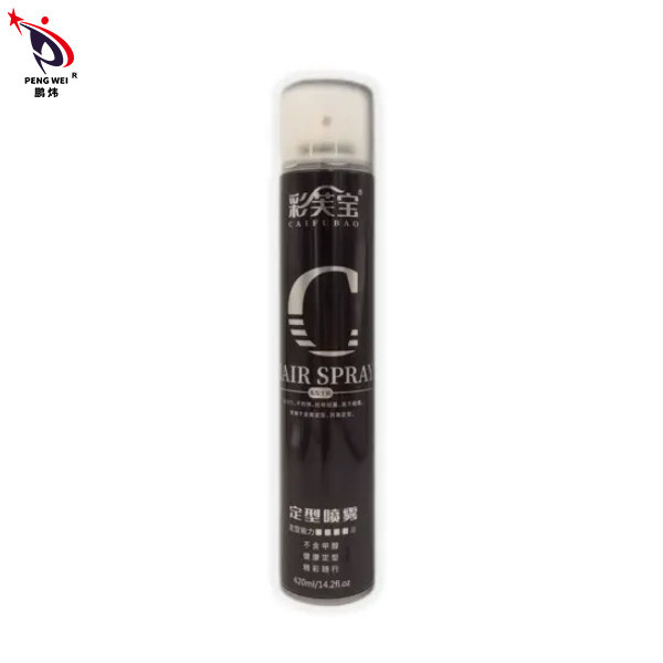 strong hold hair spray Flexible Hold 80g Odorless Quick Dry Hair Spray For Hair Styling