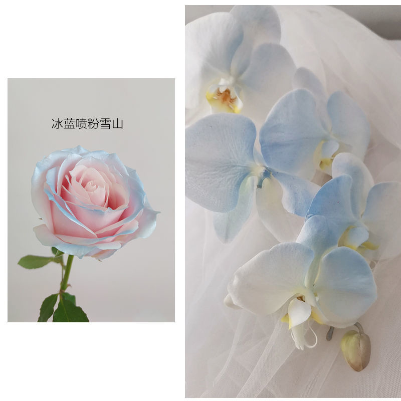 MSDS 350ml Flower Pearl Color Spray , Tinplate Paint Spray For Flowers